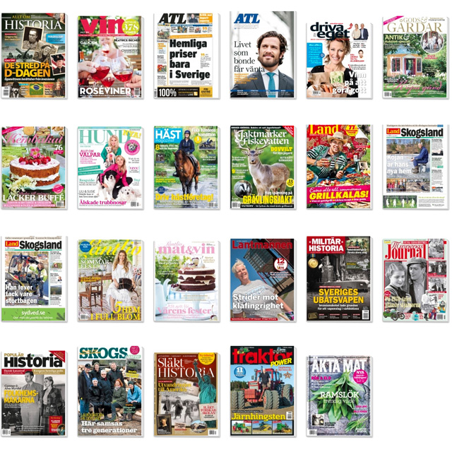 LRF Media, magazines and newspapers